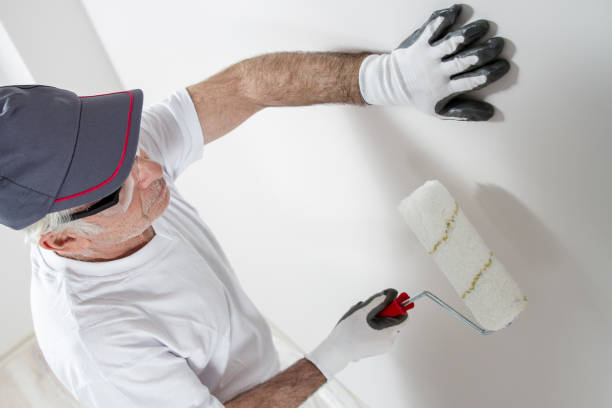 Best Environmental Consulting for Mold Prevention  in Montevideo, MN