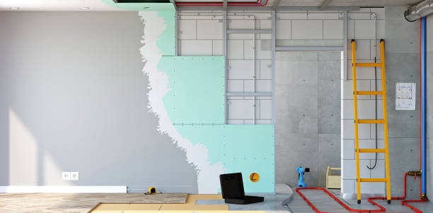 Best Attic Mold Removal  in Montevideo, MN