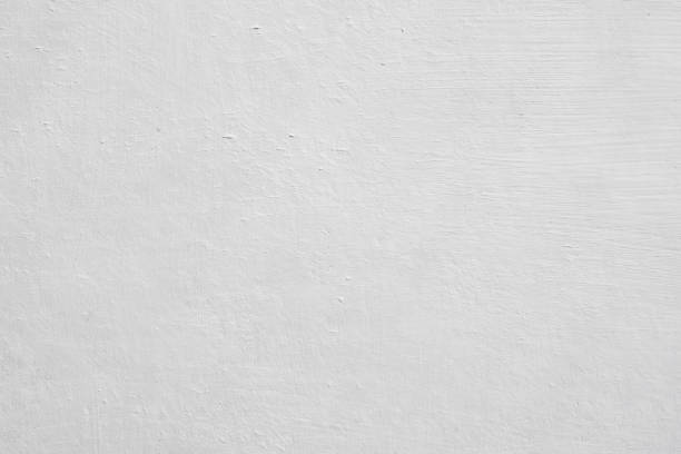 Professional Mold Removal in Montevideo, MN