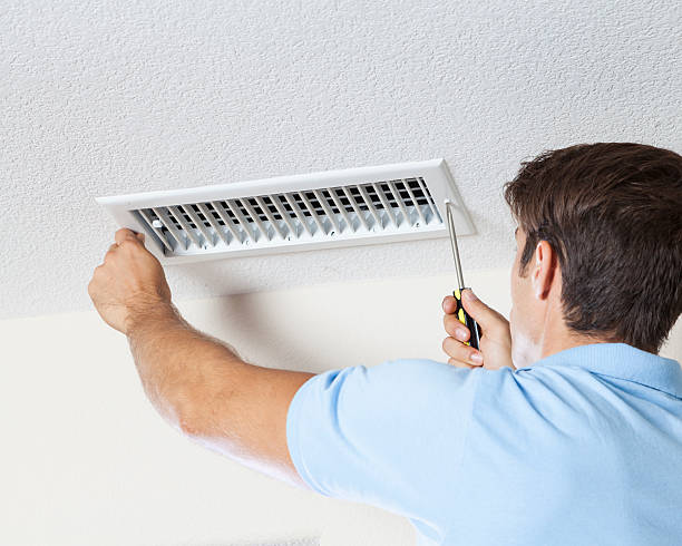  Montevideo, MN Mold Removal Pros