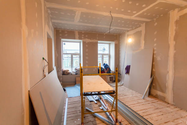 Best Commercial Mold Inspection  in Montevideo, MN